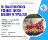 Kurs Holowanie Narciarza Wodnego
